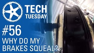 Why Do My Brakes Squeal? - Tech Tuesday #56