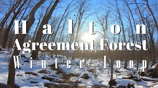 Agreement Forest Winter Loop | Halton...