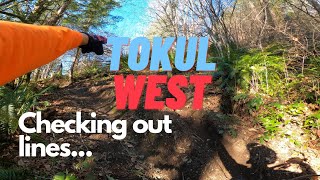Some of the best MTB trails in Washington