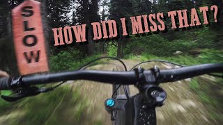 I went too fast at the Kicking Horse Bike...