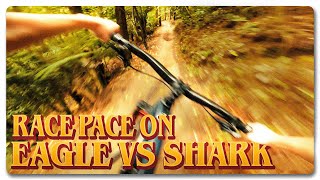 Race Pace on Eagle vs Shark! | Rotorua Redwoods