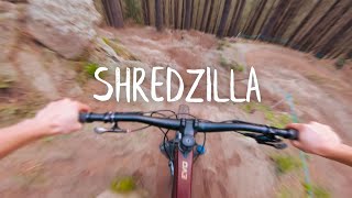 Shredzilla - Christchurch Adventure Park