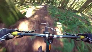 Thornstar - Maple Ridge, BC