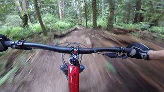 John Deer - Mt. Seymour, BC