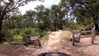 Aneurysm December 2020 - Lysterfield Trail 15