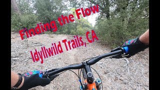 Some Raw Mountain Biking Footage - Hub Trails...