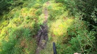 Hot weather Mountain bike fail - The elf