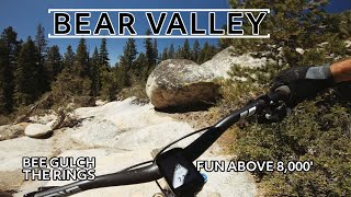 Riding Bear Valley blind | First tracks on...