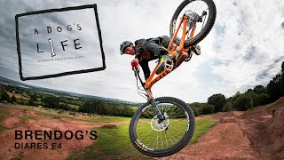 A DOGS LIFE DIARIES - S1E4 Berm2Berm BRENDAN...