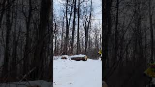 Loop through the Forest Trail: Jump off