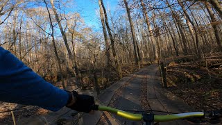 POV - Fern Gully - Dauset Trails - 12/19/2020
