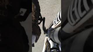Grasshopper Bike Ride #shorts