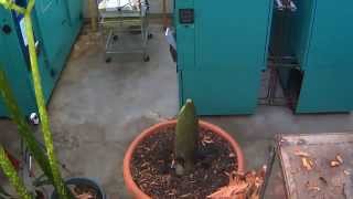 Perry Update 10-14-2013