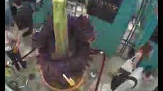 Gustavus Corpse Flower (Titan Arum) Blooming...