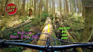 BEST TRAILS ON BEAR MTN! // SKETCHY LOG RIDE...