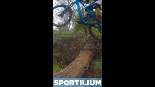 Buxton MTB Jumps