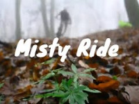 Misty ride | Mountain biking in Switzerland