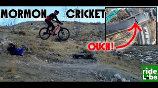 I broke my frame on Mormon Cricket, Eagle Mountain