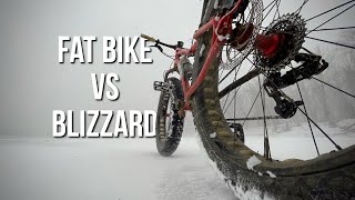Fat Bike vs Blizzard