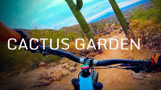 Cactus Garden | Hawes Trail Network