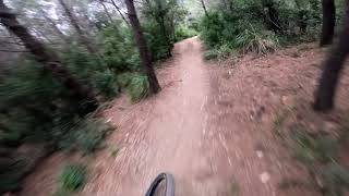 Christmas riding