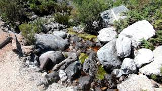 Grabouw Forest - TrailsEnd - A-Z Trails 2020