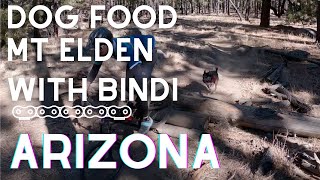 Dog Food with Bindi! | Flagstaff Arizona...