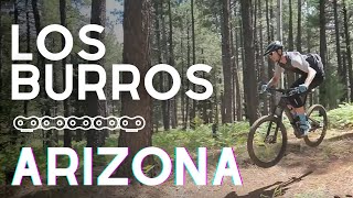 The Best Loop in the White Mountains - Los...