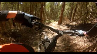 Moss Def/Blow In/The Local