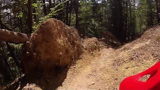 Patrunsa trail/enduro - coborarea integrala...