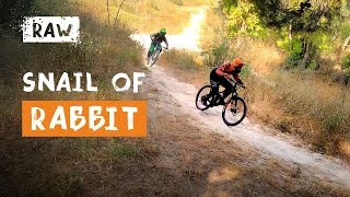 Snail of Rabbit trail, Mishmar Haemek, Israel...