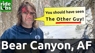 Stabbed by a tree in Bear Canyon