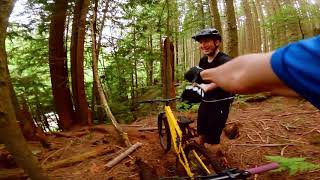 Daydreaming of Loam | Earth | MTB