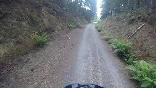Railton Rattler (to Sheffield)