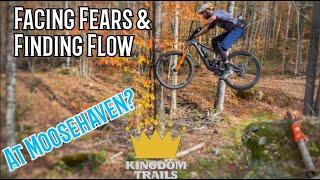 Facing Fears and Finding Flow in Moosehaven |...