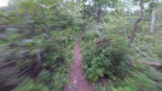 Ruff Gap descent - Rothrock State Park