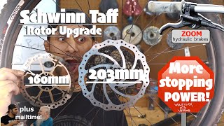 2021 schwinn online taff