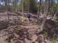 Moose Alley Trail