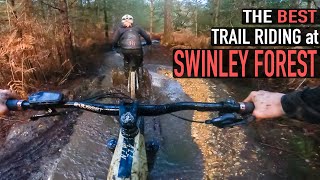 TRAIL RIDING AT SWINLEY ON OUR NEW CARBON BIKES!!