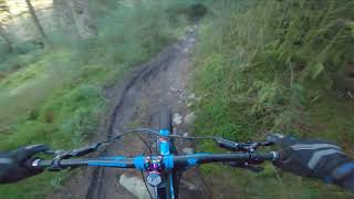 Aberfoyle MTB - Go Ape Singletrack