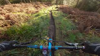 Aberfoyle MTB - Bat House Descent