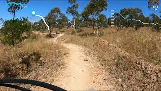 Stromlo Forrest - Dingo (Green)
