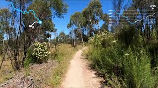 Stromlo Forrest - White Gums (Green)
