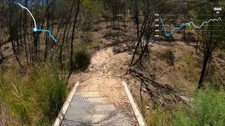 Stromlo Forrest - Willo Link (Green)