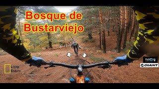 RAW | BOSQUE BUSTARVIEJO EN MTB  | GOPRO |...