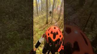 Chickakoo Lake - Bark Burn