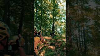 Trnovica Flow Jam 2020 - TIMELINE