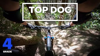 TECHY & PLAYFUL - Top Dog Mountain Bike...