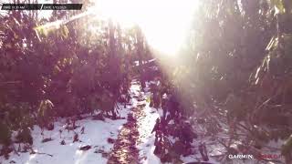 Wawayanda Rockadendron Trail 1-12-21