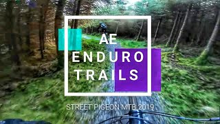 Mountain Biking in Scotland | Ae Enduro Trails